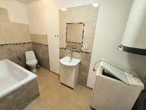 Pronájem bytu 1+kk, Ústí nad Labem, Londýnská, 52 m2