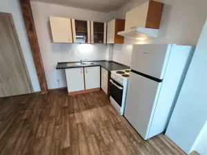 Pronájem bytu 1+kk, Ústí nad Labem, Londýnská, 52 m2