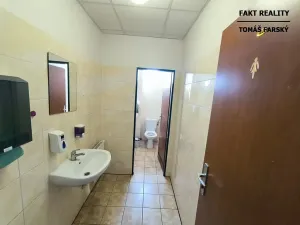 Pronájem kanceláře, Ústí nad Labem, Přístavní, 16 m2