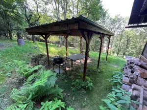 Dražba chaty, Těchonín, 17 m2