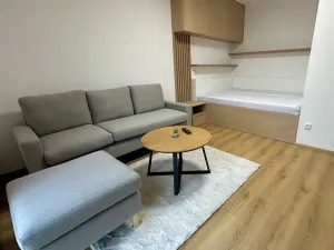Pronájem bytu 1+1, Zlín, Pod Hradem II, 29 m2