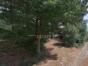 Prodej lesa, Prostějovičky, 1251 m2