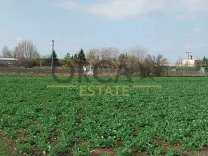 Prodej pozemku pro bydlení, Vranovice, 2817 m2