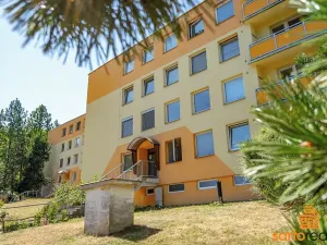 Pronájem bytu 1+kk, Ústí nad Labem, Spartakiádní, 31 m2