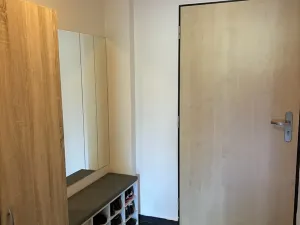 Pronájem bytu 1+kk, Brno, Pastviny, 58 m2