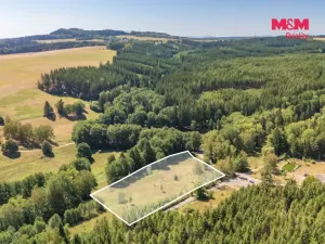 Prodej louky, Bezdružice - Řešín, 8235 m2