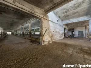 Pronájem zemědělského objektu, Korouhev, 1400 m2