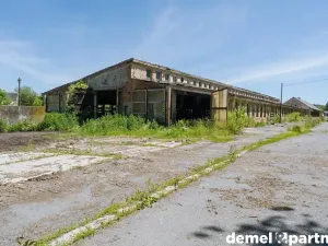 Pronájem zemědělského objektu, Korouhev, 1400 m2