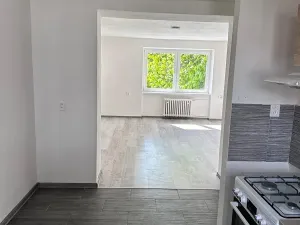 Pronájem bytu 2+1, Chomutov, Pionýrů, 65 m2