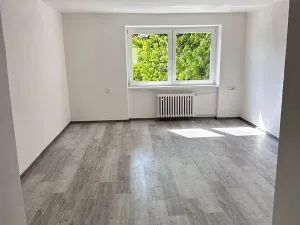 Pronájem bytu 2+1, Chomutov, Pionýrů, 65 m2