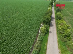Prodej pole, Prostějov - Žešov, 8491 m2