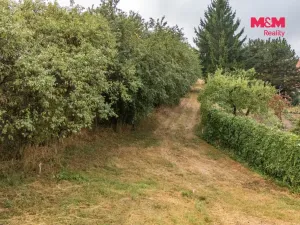 Prodej pozemku pro bydlení, Petrovice, 3359 m2