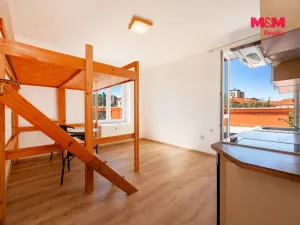 Prodej bytu 1+kk, Příbram - Příbram VII, Edvarda Beneše, 21 m2