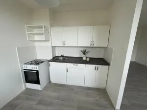 Pronájem bytu 1+1, Litvínov, Bezručova, 42 m2