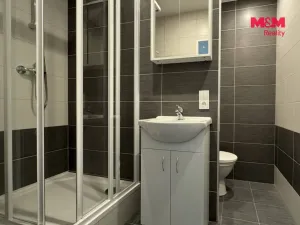 Pronájem bytu 1+1, Ústí nad Labem - Všebořice, Zahradní, 33 m2