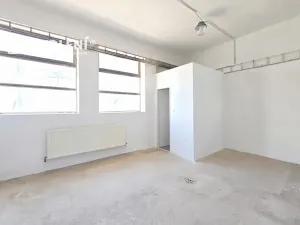 Pronájem výrobních prostor, Bílina, Důlní, 222 m2