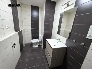 Pronájem bytu 1+kk, Doloplazy, 31 m2