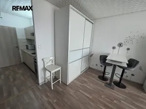 Pronájem bytu 1+kk, Doloplazy, 31 m2