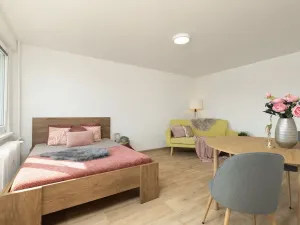 Prodej bytu 1+1, Ostrava - Moravská Ostrava, Nádražní, 30 m2