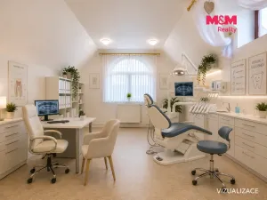 Pronájem obchodního prostoru, Čelákovice, Sedláčkova, 39 m2