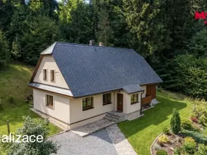 Prodej chalupy, Těchonín, 80 m2