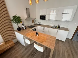 Pronájem bytu 1+kk, Brno, Francouzská, 40 m2