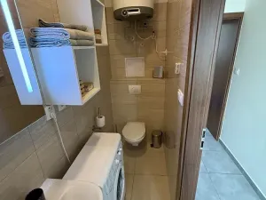 Pronájem bytu 1+kk, Brno, Francouzská, 40 m2