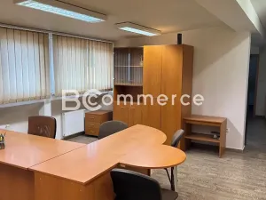 Pronájem výrobních prostor, Brno, 698 m2
