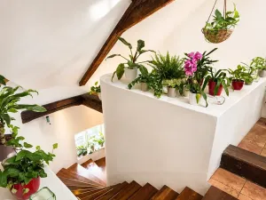 Pronájem bytu 2+kk, Praha - Staré Město, 110 m2