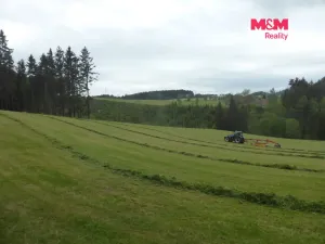 Prodej louky, Vysoká Srbská, 26000 m2