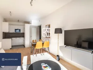 Pronájem bytu 2+kk, Praha - Žižkov, Kaplířova, 45 m2