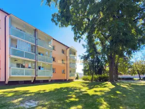 Prodej bytu 2+1, Ostrava, Letecká, 55 m2