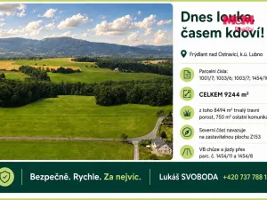 Prodej louky, Frýdlant nad Ostravicí - Lubno, 9244 m2
