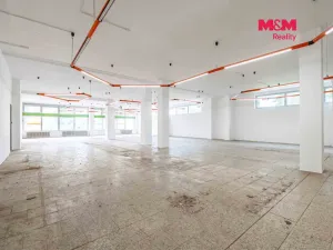 Prodej obchodního prostoru, Český Těšín, Slezská, 900 m2