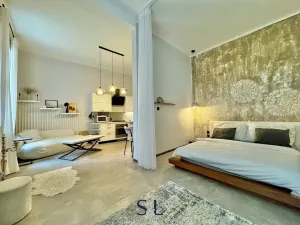 Pronájem bytu 1+1, Praha - Žižkov, Kubelíkova, 50 m2