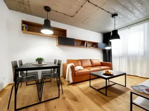 Pronájem bytu 2+kk, Brno, Cejl, 35 m2
