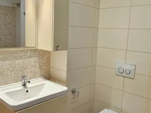 Prodej bytu 1+kk, Velké Meziříčí, Školní, 29 m2