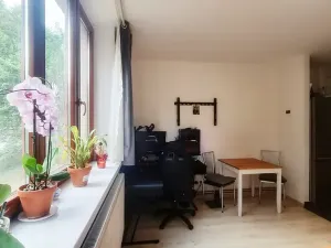 Prodej bytu 1+kk, Brno, Gallašova, 28 m2
