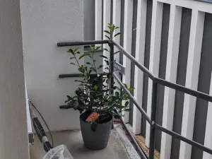 Pronájem bytu 3+kk, Luhačovice, 75 m2