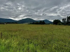 Prodej pozemku pro bydlení, Kozlovice, 4354 m2