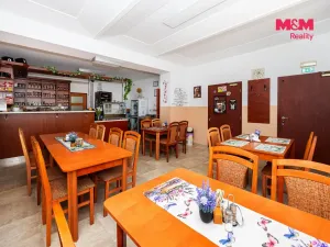 Prodej ubytování, Brandýs nad Orlicí, Husova, 340 m2