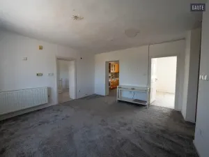 Prodej zemědělské usedlosti, Vlasatice, 5889 m2