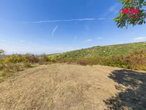 Prodej zahrady, Židlochovice, 3718 m2
