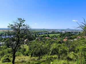 Prodej zahrady, Žalhostice, 4185 m2