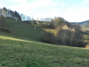 Dražba louky, Seninka, 13881 m2