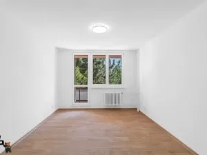 Prodej bytu 1+1, Frýdek-Místek, J. E. Purkyně, 35 m2