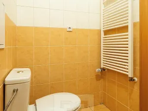 Pronájem bytu 1+kk, Praha - Michle, Jemnická, 30 m2