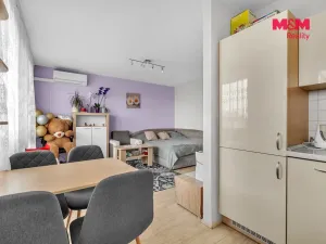 Prodej bytu 1+kk, Pardubice - Zelené Předměstí, nábřeží Závodu míru, 35 m2