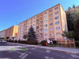 Prodej bytu 1+1, Kraslice, Čs. armády, 37 m2