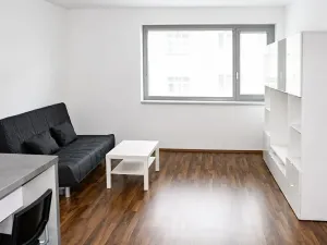 Pronájem bytu 1+kk, Brno, Hybešova, 34 m2